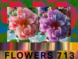 Kim, Flowers 713 Scarf